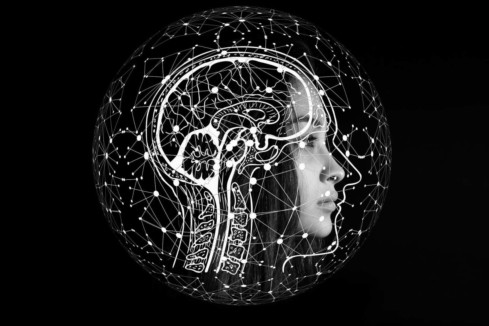 Il dilemma del libero arbitrio nell'era delle neuroscienze: scegliamo davvero noi?