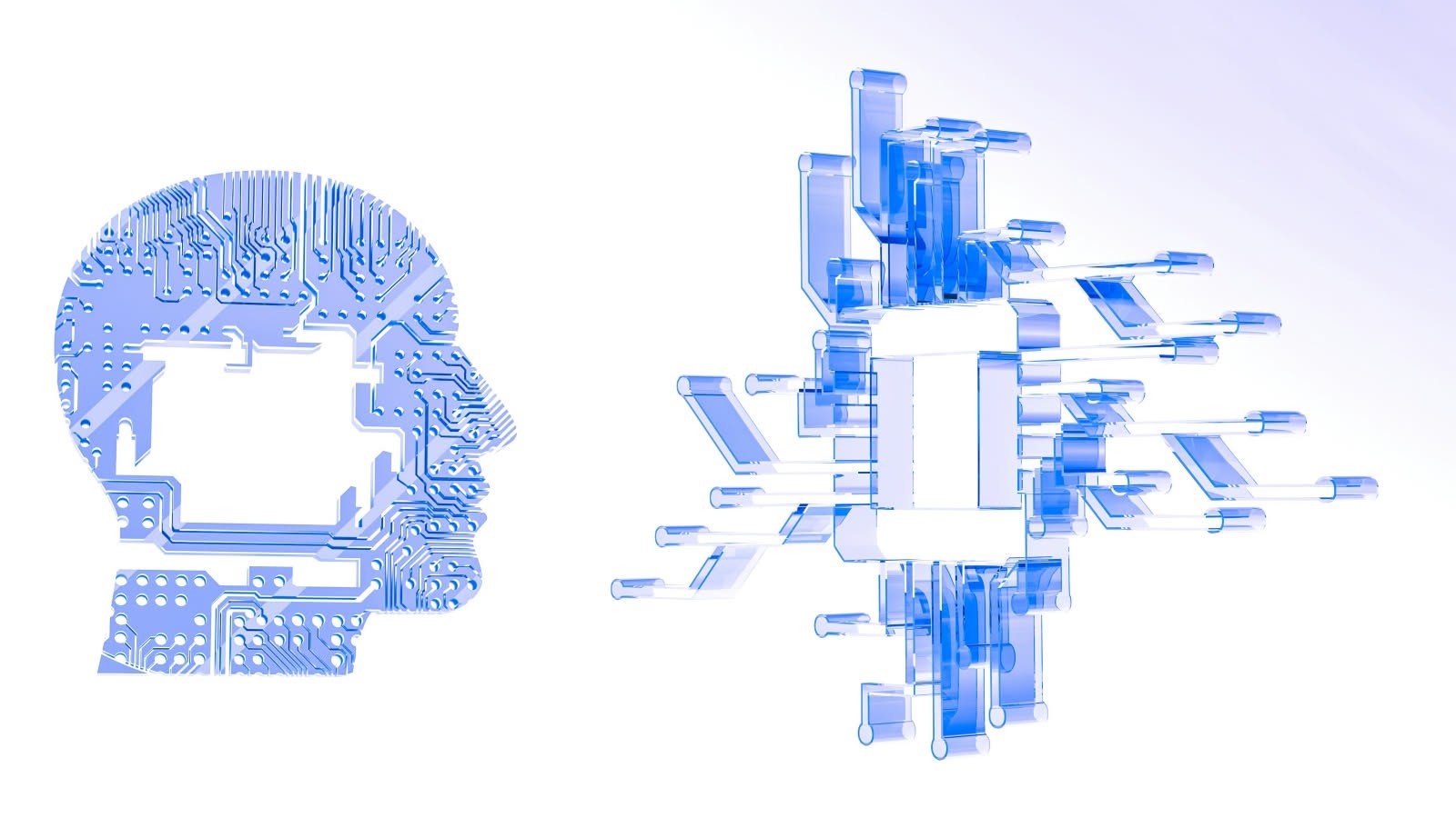 Perché la memoria seleziona i ricordi? La funzione biologica e psicologica dell'oblio